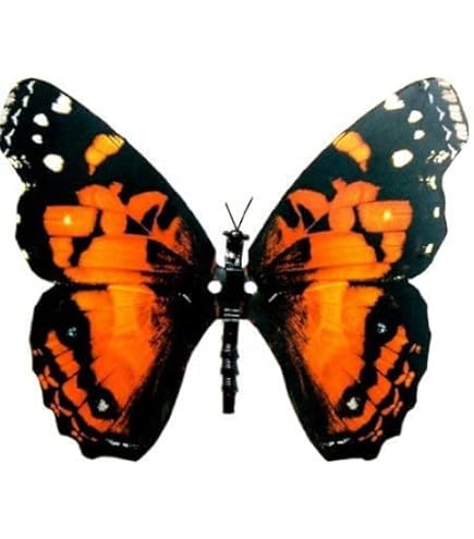 Electronic Butterflies – Skylab mqdefault.jpg